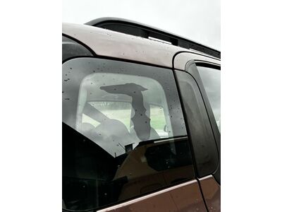 Fiat Panda Gebrauchtwagen