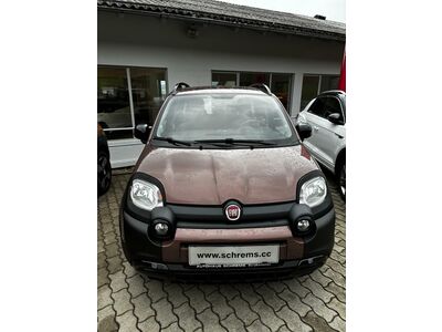 Fiat Panda Gebrauchtwagen