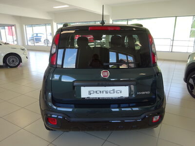 Fiat Pandina Vorführwagen Fiat Pandina Vorführwagen