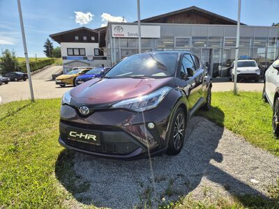 Toyota C-HR Vorführwagen