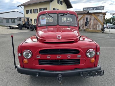 Dodge D.203L Gebrauchtwagen Dodge D.203L Gebrauchtwagen