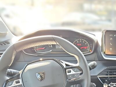 Peugeot 208 Tageszulassung
