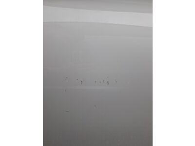 BMW 5er Gebrauchtwagen BMW 5er Gebrauchtwagen