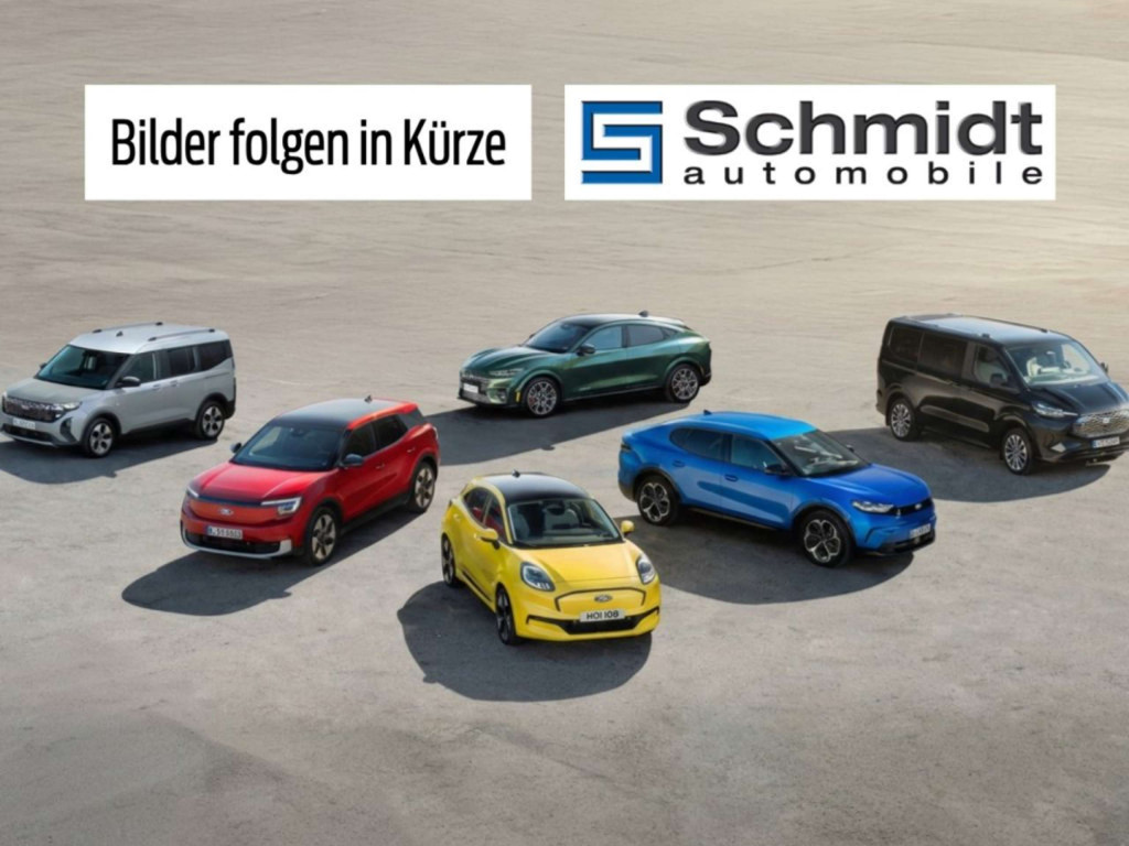 Ford Transit Custom Neuwagen