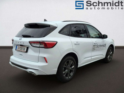 Ford Kuga Vorführwagen