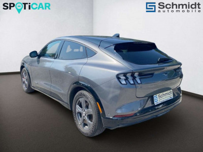 Ford Mustang Gebrauchtwagen Ford Mustang Gebrauchtwagen