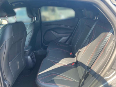 Ford Mustang Gebrauchtwagen Ford Mustang Gebrauchtwagen