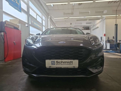 Ford Puma Gebrauchtwagen Ford Puma Gebrauchtwagen