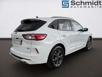 Ford Kuga Gebrauchtwagen Ford Kuga Gebrauchtwagen