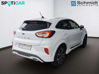 Ford Puma Gebrauchtwagen Ford Puma Gebrauchtwagen