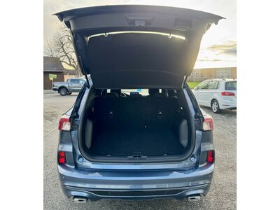 Ford Kuga Gebrauchtwagen Ford Kuga Gebrauchtwagen