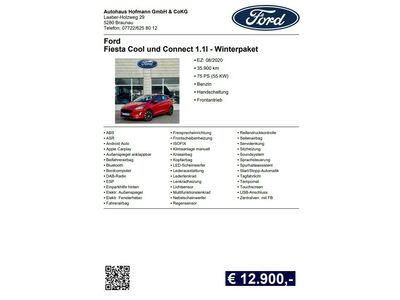 Ford Fiesta Gebrauchtwagen Ford Fiesta Gebrauchtwagen