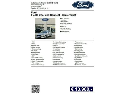 Ford Fiesta Gebrauchtwagen Ford Fiesta Gebrauchtwagen