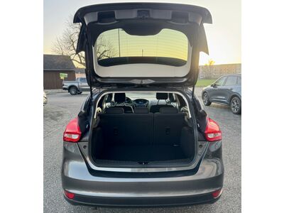 Ford Focus Gebrauchtwagen