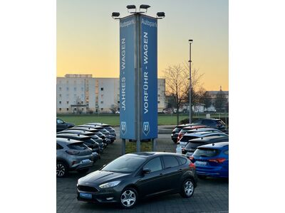 Ford Focus Gebrauchtwagen
