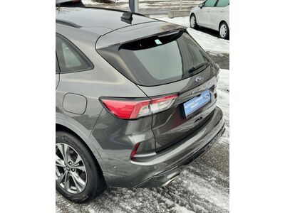 Ford Kuga Gebrauchtwagen