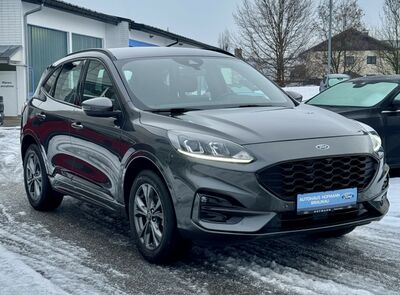 Ford Kuga Gebrauchtwagen