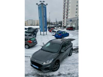 Ford Kuga Gebrauchtwagen