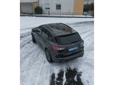 Ford Kuga Gebrauchtwagen