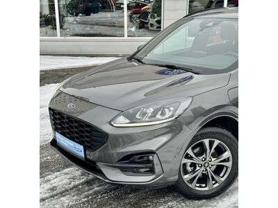 Ford Kuga Gebrauchtwagen