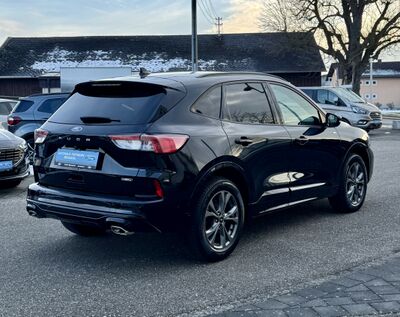 Ford Kuga Gebrauchtwagen