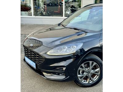 Ford Kuga Gebrauchtwagen