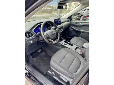 Ford Kuga Gebrauchtwagen Ford Kuga Gebrauchtwagen