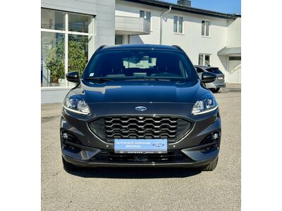 Ford Kuga Gebrauchtwagen Ford Kuga Gebrauchtwagen