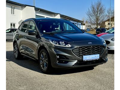 Ford Kuga Gebrauchtwagen Ford Kuga Gebrauchtwagen