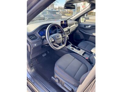 Ford Kuga Gebrauchtwagen Ford Kuga Gebrauchtwagen