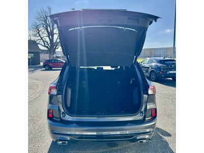 Ford Kuga Gebrauchtwagen Ford Kuga Gebrauchtwagen