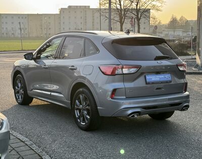 Ford Kuga Gebrauchtwagen