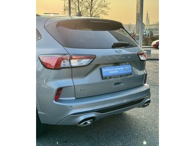 Ford Kuga Gebrauchtwagen