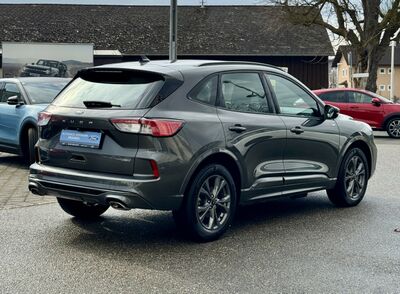 Ford Kuga Gebrauchtwagen Ford Kuga Gebrauchtwagen