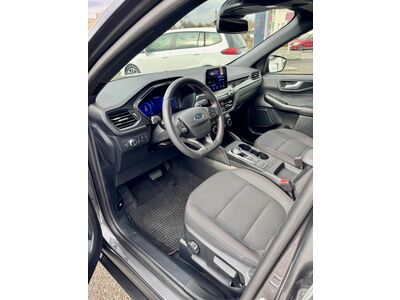 Ford Kuga Gebrauchtwagen Ford Kuga Gebrauchtwagen