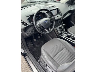 Ford Kuga Gebrauchtwagen
