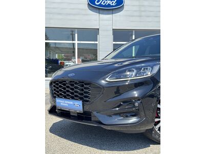 Ford Kuga Gebrauchtwagen