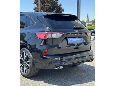 Ford Kuga Gebrauchtwagen