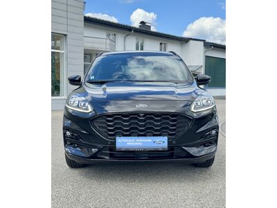 Ford Kuga Gebrauchtwagen Ford Kuga Gebrauchtwagen