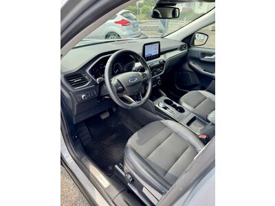 Ford Kuga Gebrauchtwagen Ford Kuga Gebrauchtwagen