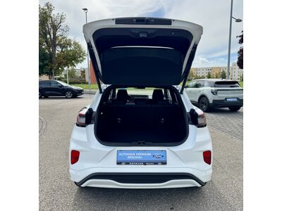 Ford Puma Neuwagen Ford Puma Neuwagen