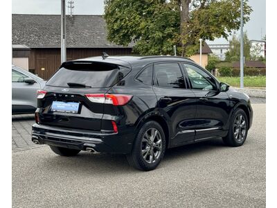 Ford Kuga Gebrauchtwagen Ford Kuga Gebrauchtwagen