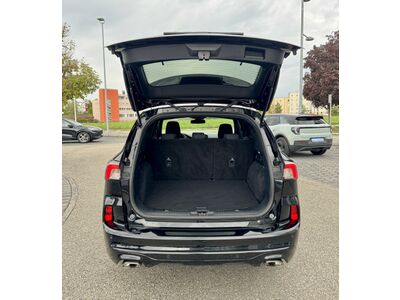 Ford Kuga Gebrauchtwagen Ford Kuga Gebrauchtwagen