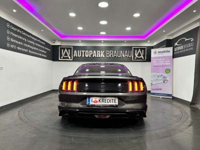 Ford Mustang Gebrauchtwagen