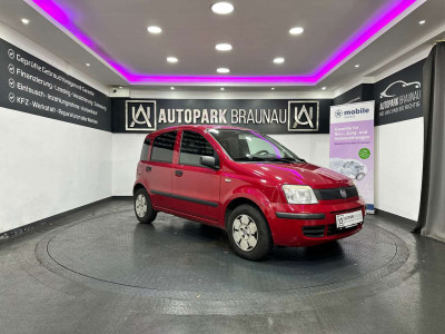 Fiat Panda Gebrauchtwagen