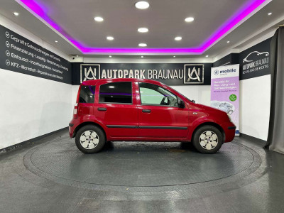 Fiat Panda Gebrauchtwagen