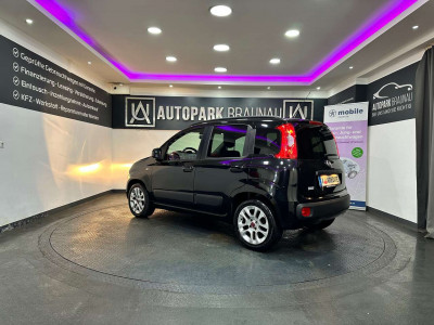 Fiat Panda Gebrauchtwagen