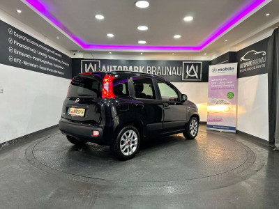 Fiat Panda Gebrauchtwagen