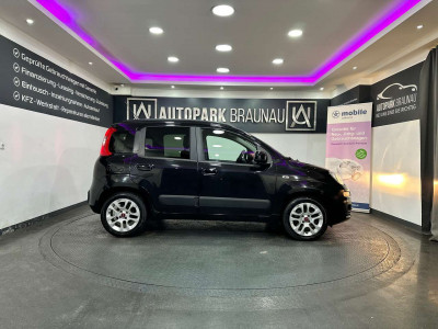 Fiat Panda Gebrauchtwagen