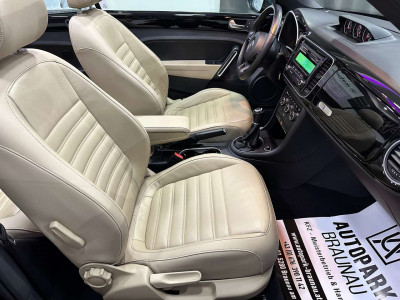 VW Beetle Gebrauchtwagen VW Beetle Gebrauchtwagen